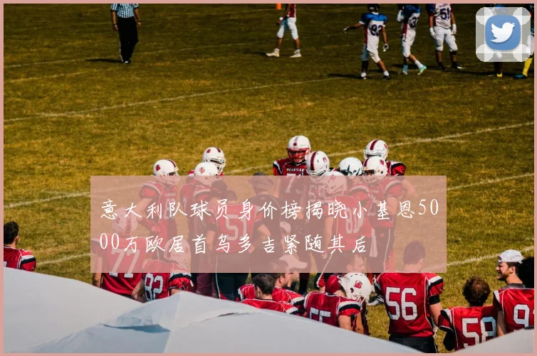 意大利队球员身价榜揭晓小基恩5000万欧居首乌多吉紧随其后